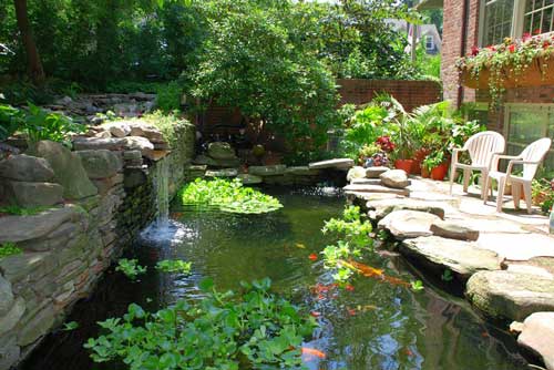 bio-pond-a