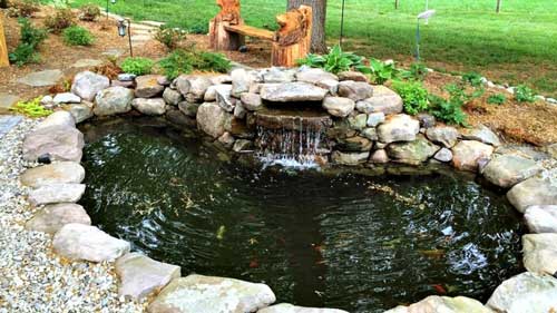bio-pond-b