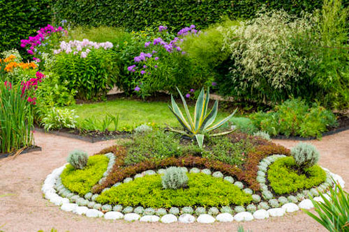 plant-and-trees-a