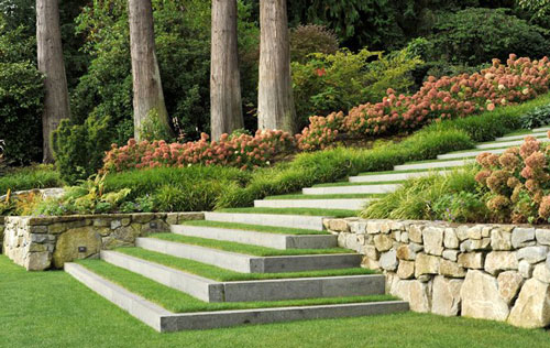 plant-and-trees-c